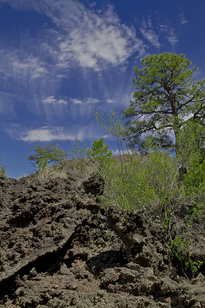 Sunset Crater Volcano National Monument AZ 46 22. Digital Download