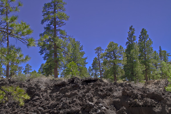 Sunset Crater Volcano National Monument AZ 46 36. Digital Download