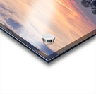 Winter Montrose Harbor Chicago IL Acrylic print