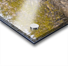 Casa Grande Ruins National Monument AZ 105 Acrylic print