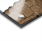 Casa Grande Ruins National Monument AZ 54 Acrylic print