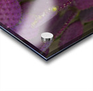 Casa Grande Ruins National Monument AZ 115 Acrylic print