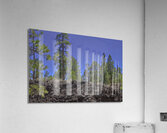 Sunset Crater Volcano National Monument AZ 46 36. Acrylic Print