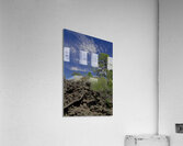 Sunset Crater Volcano National Monument AZ 46 22. Acrylic Print