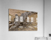 Casa Grande Ruins National Monument AZ 72 Acrylic Print