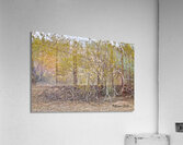 Casa Grande Ruins National Monument AZ 105 Acrylic Print