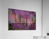 Casa Grande Ruins National Monument AZ 115 Acrylic Print