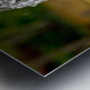 Fountain At the Botanical Garden Metal print