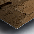 Casa Grande Ruins National Monument AZ 66 Metal print