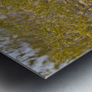 Casa Grande Ruins National Monument AZ 105 Metal print