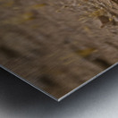 Casa Grande Ruins National Monument AZ 111 Metal print