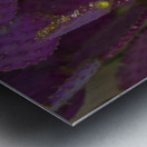 Casa Grande Ruins National Monument AZ 115 Metal print