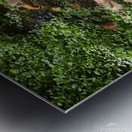 Zion National Park Utah Metal print