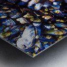 Mussels Venice Beach California Metal print