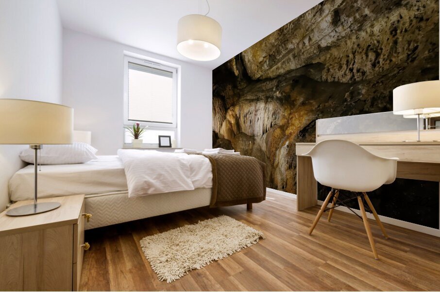 Caves in SW Wisconsin  Mural print