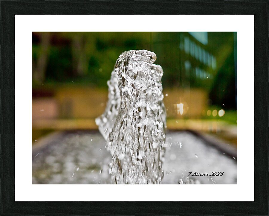 Fountain At the Botanical Garden Picture Frame print