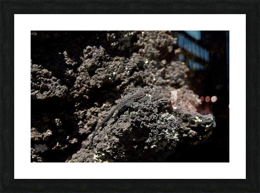 Sunset Crater Volcano National Monument AZ 46 11. Picture Frame print