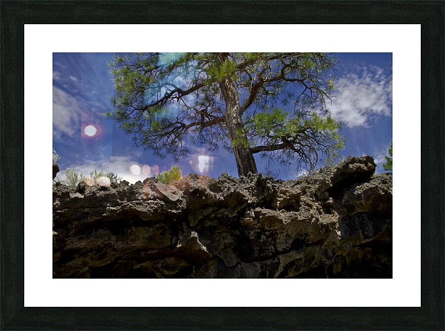Sunset Crater Volcano National Monument AZ 46 15. Picture Frame print