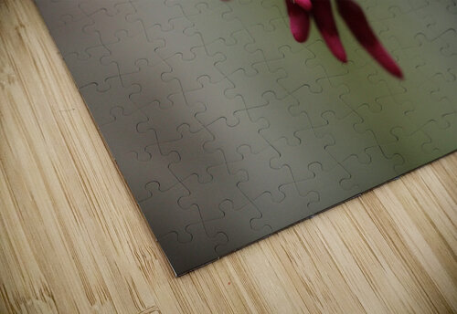 Spring Time My Front Yard A Redbud Tree Tony Lacroix puzzle