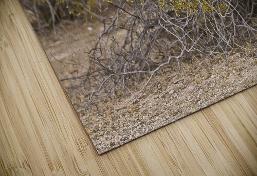 Casa Grande Ruins National Monument AZ 105 Tony Lacroix puzzle