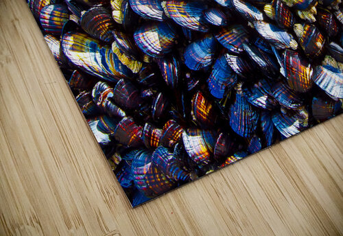 Mussels Venice Beach California Tony Lacroix puzzle