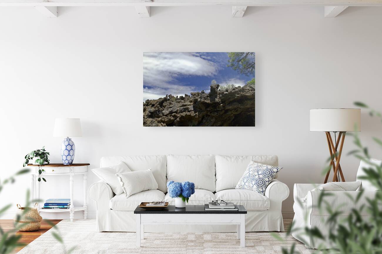 Sunset Crater Volcano National Monument AZ 46 14. Reproduction