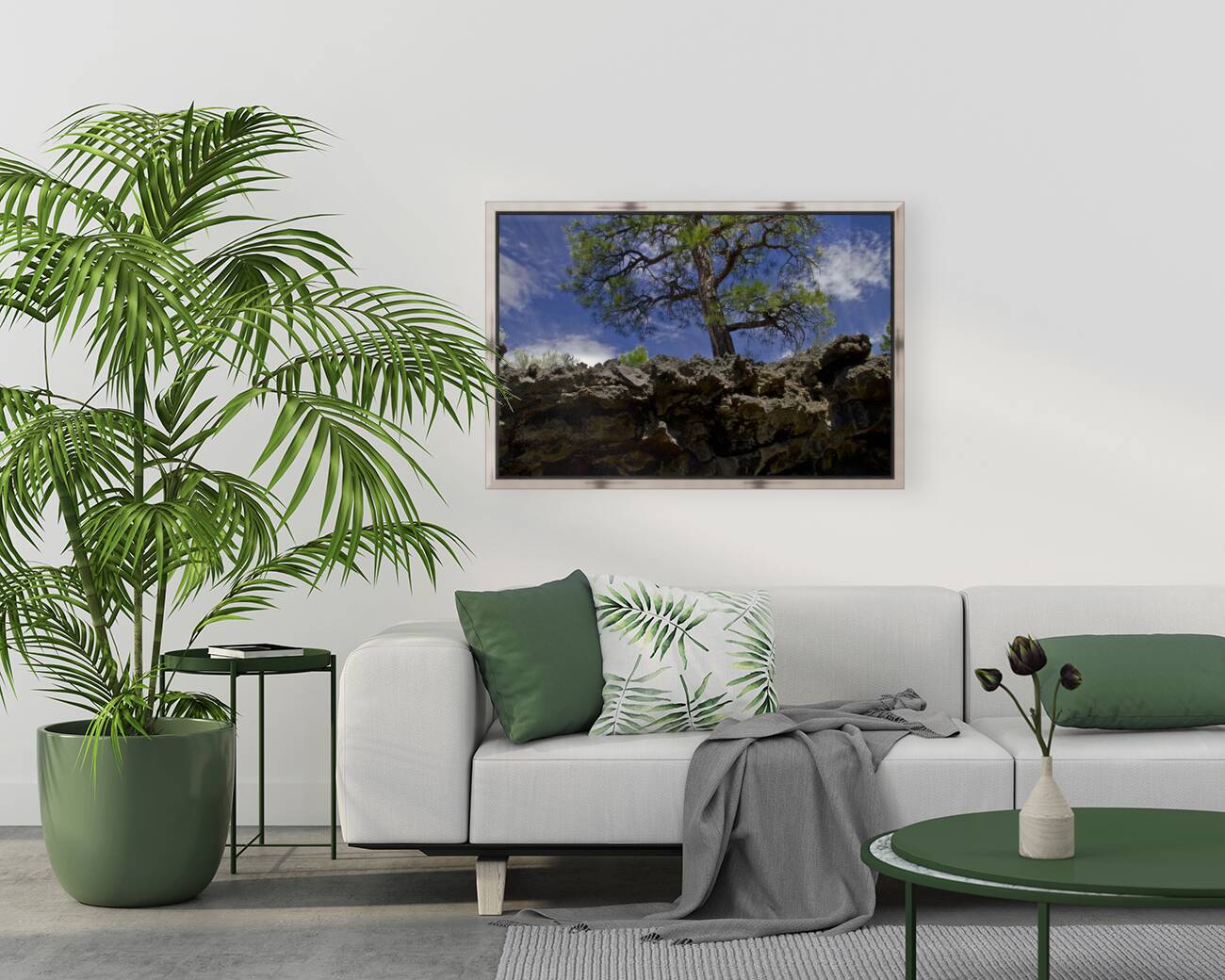 Sunset Crater Volcano National Monument AZ 46 15. Reproduction