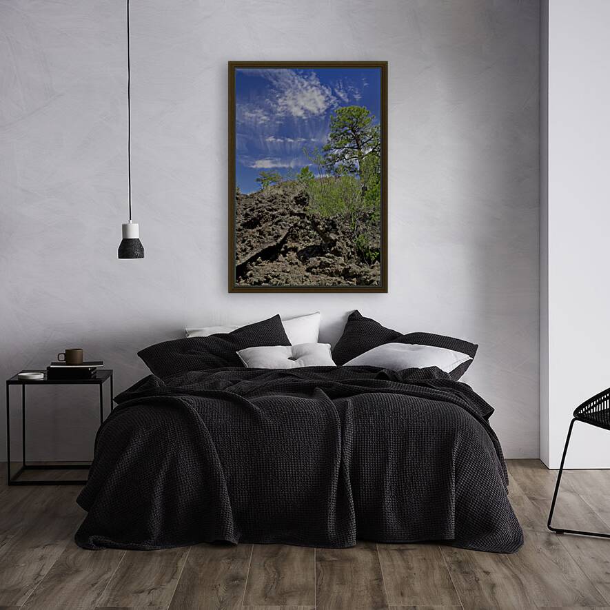 Sunset Crater Volcano National Monument AZ 46 22. Reproduction