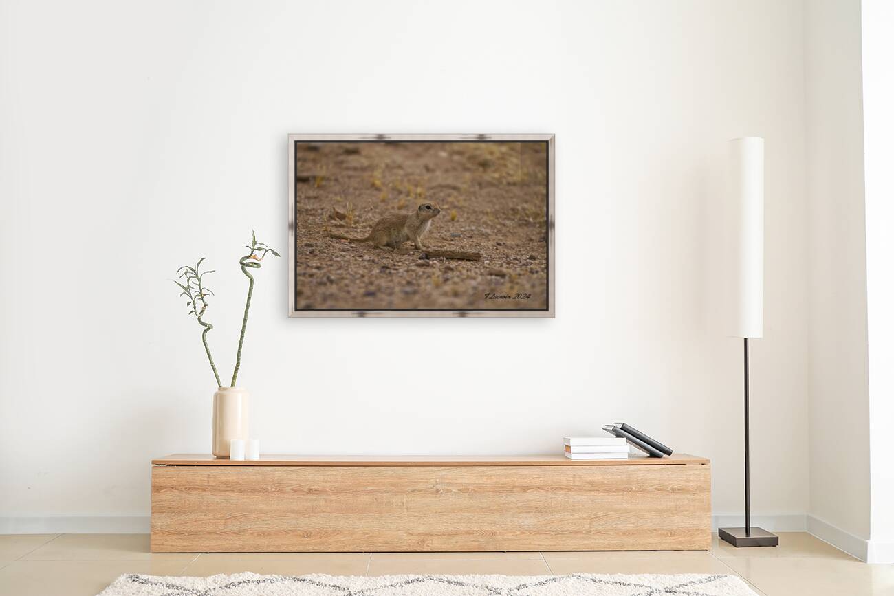 Casa Grande Ruins National Monument AZ 111 Reproduction