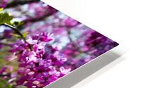 Springtime in  Lincoln Park Chicago IL HD Metal print