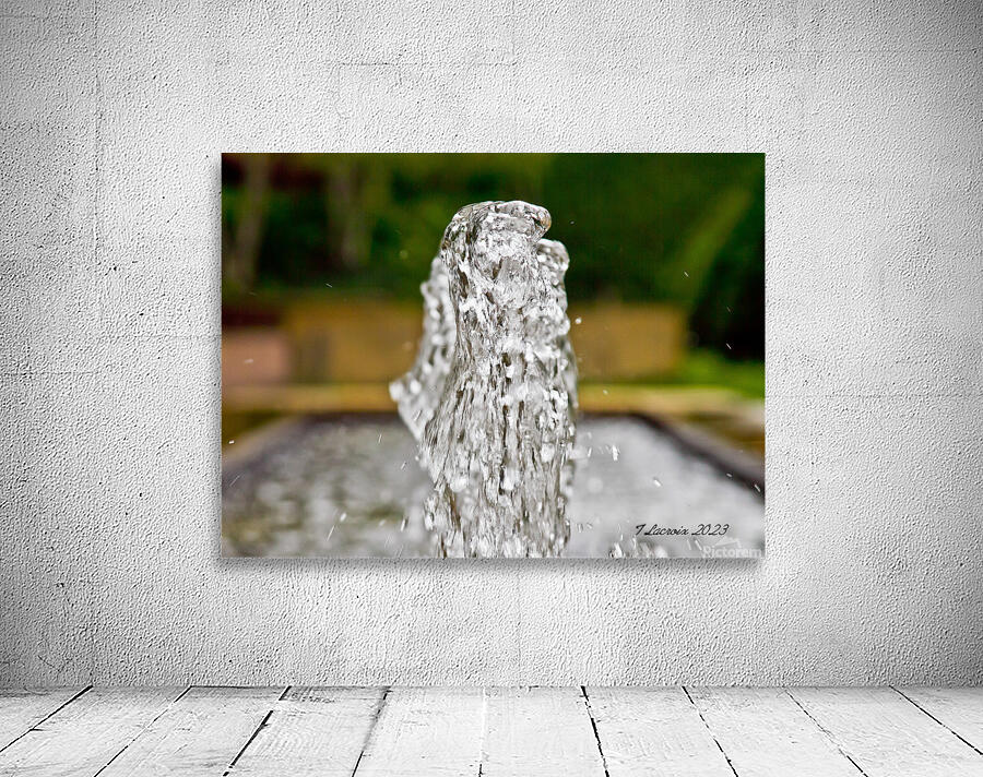 Fountain At the Botanical Garden Wall Preview