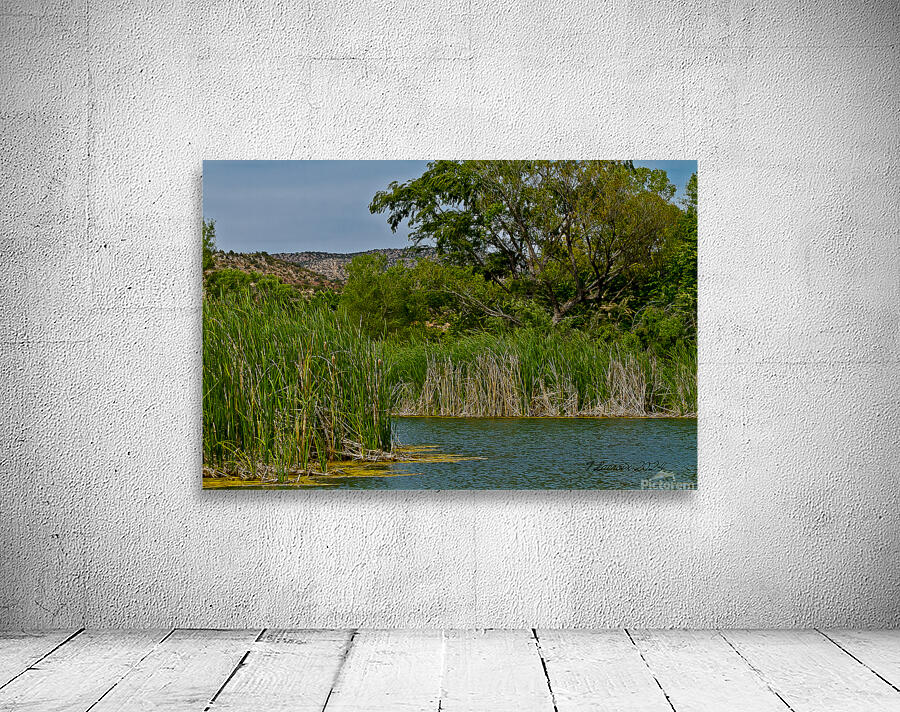 Arizona walking around Sedona 4 Wall Preview