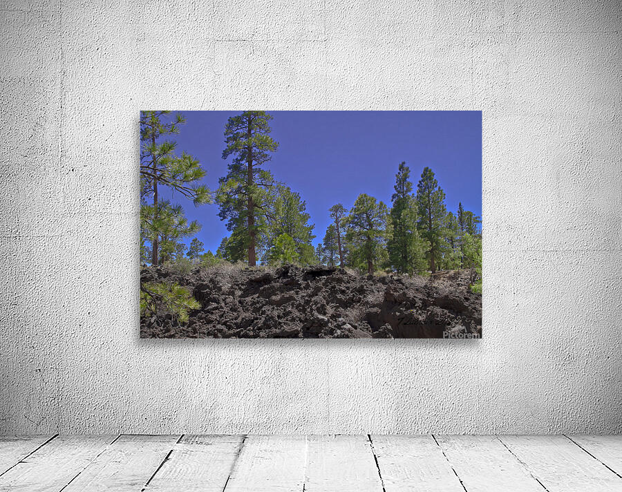 Sunset Crater Volcano National Monument AZ 46 36. Wall Preview