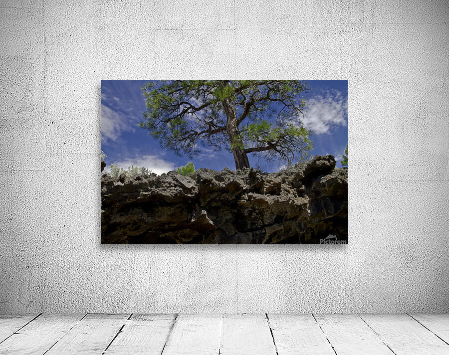 Sunset Crater Volcano National Monument AZ 46 15. Wall Preview