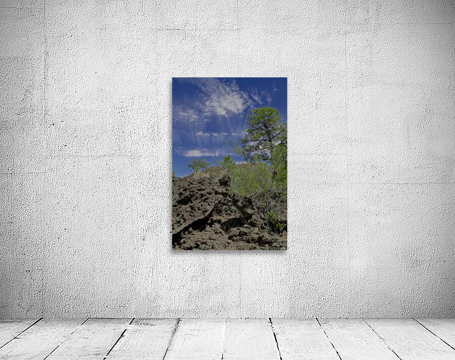 Sunset Crater Volcano National Monument AZ 46 22. Wall Preview