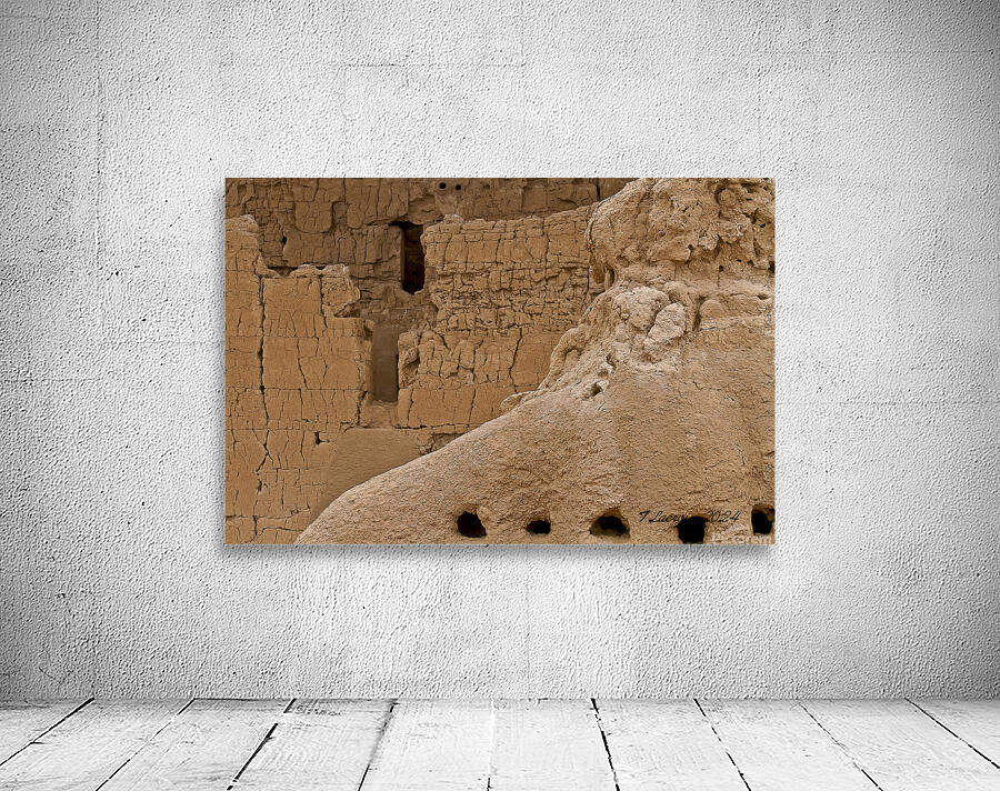 Casa Grande Ruins National Monument AZ 66 Wall Preview