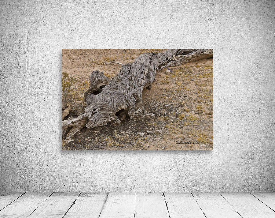 Casa Grande Ruins National Monument AZ 72 Wall Preview