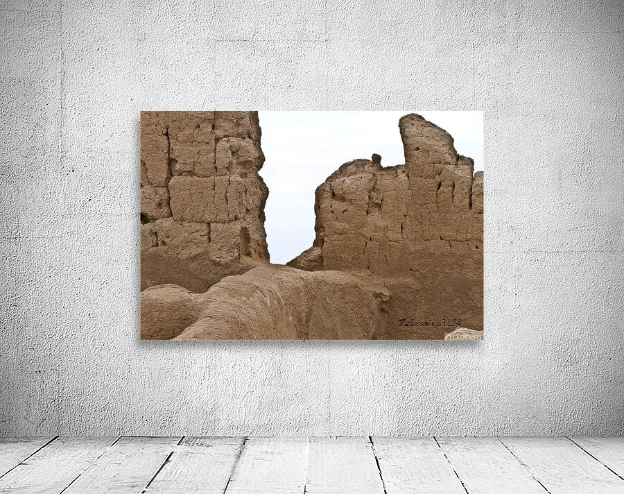 Casa Grande Ruins National Monument AZ 54 Wall Preview
