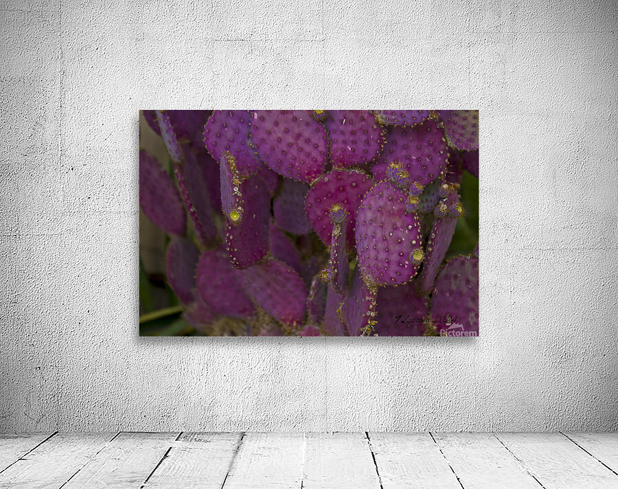 Casa Grande Ruins National Monument AZ 115 Wall Preview