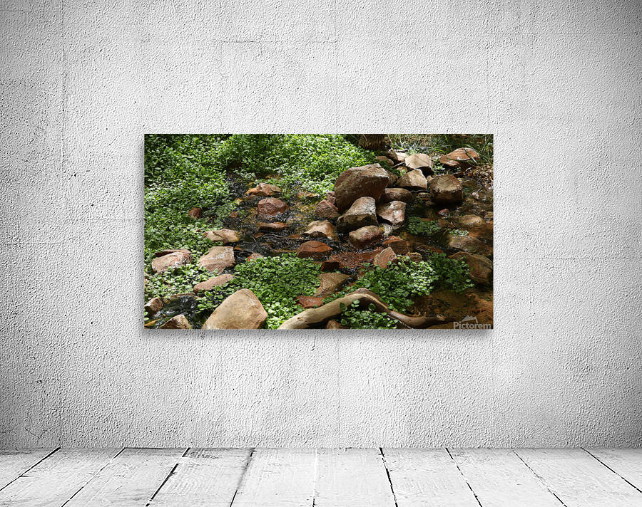 Zion National Park Utah Wall Preview