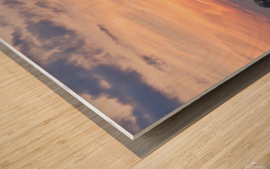 Winter Montrose Harbor Chicago IL Wood print