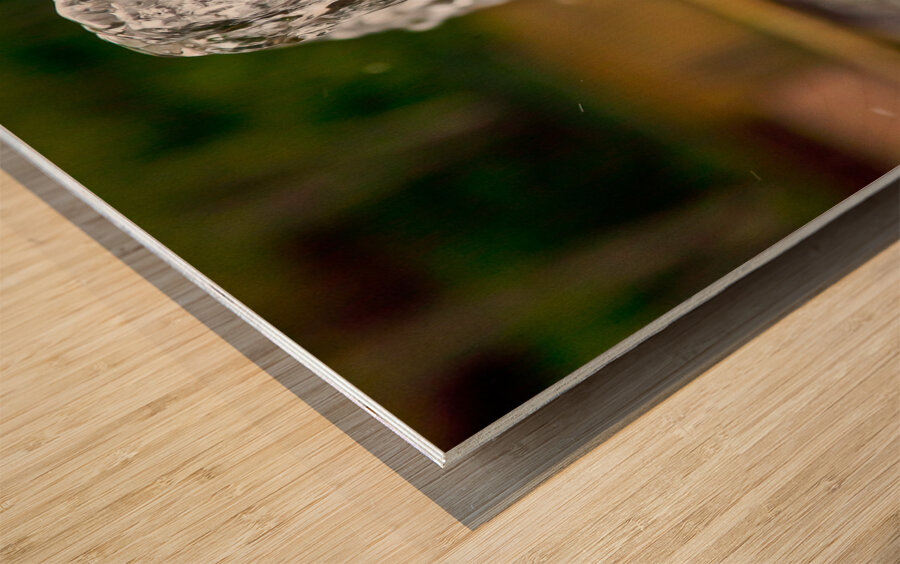 Fountain At the Botanical Garden Wood print