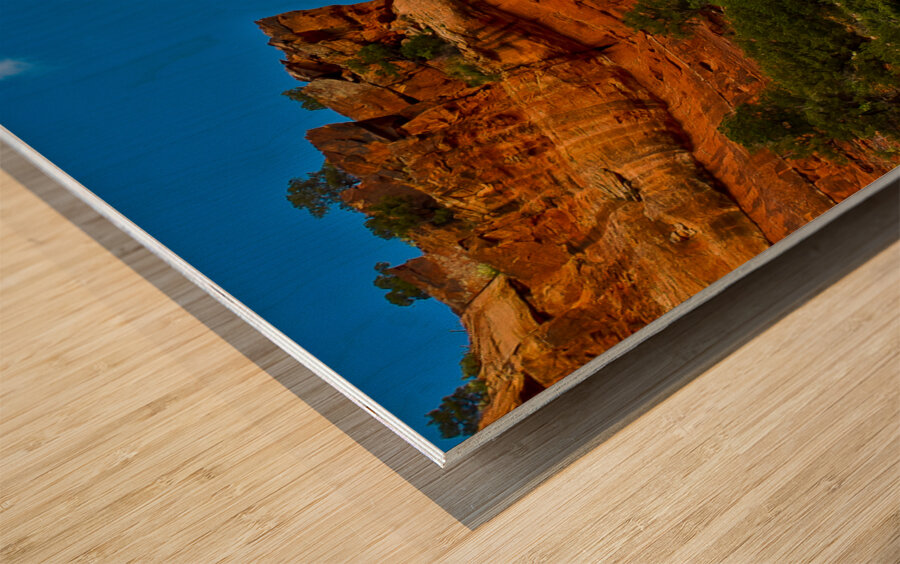 Arizona walking around Sedona 22 Wood print