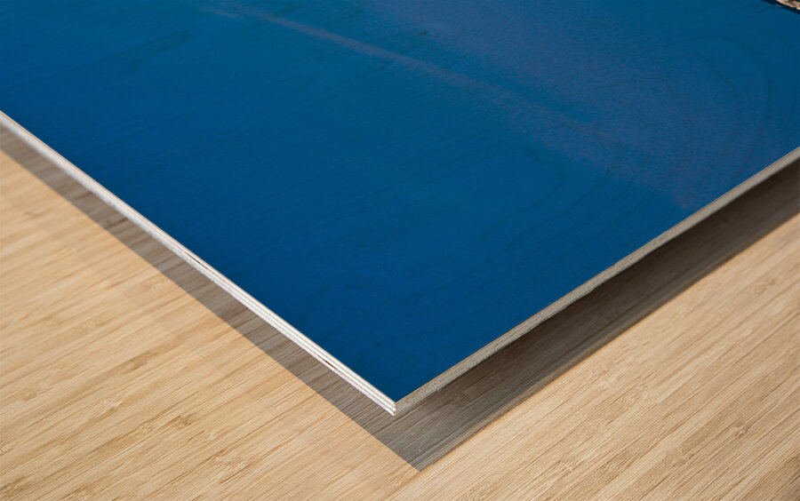 Kenosha Wisconsin Harbor 3 Wood print