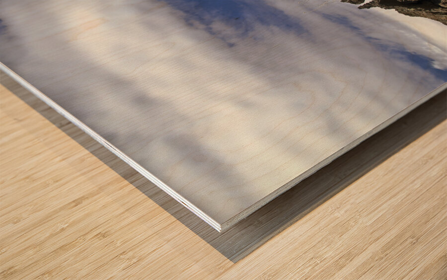 Sunset Crater Volcano National Monument AZ 46 14. Wood print