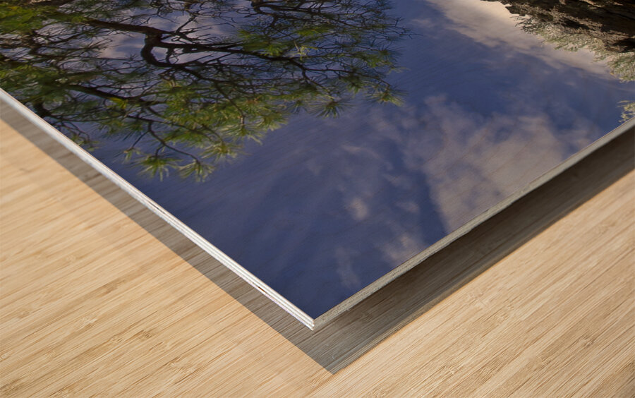 Sunset Crater Volcano National Monument AZ 46 15. Wood print