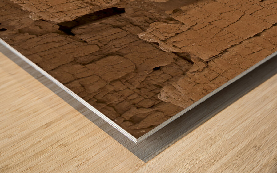 Casa Grande Ruins National Monument AZ 66 Wood print