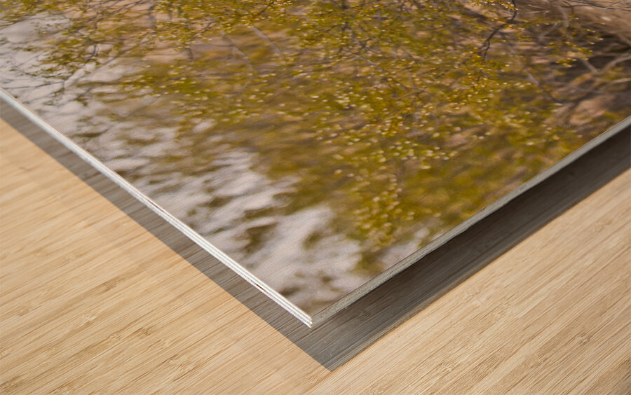 Casa Grande Ruins National Monument AZ 105 Wood print