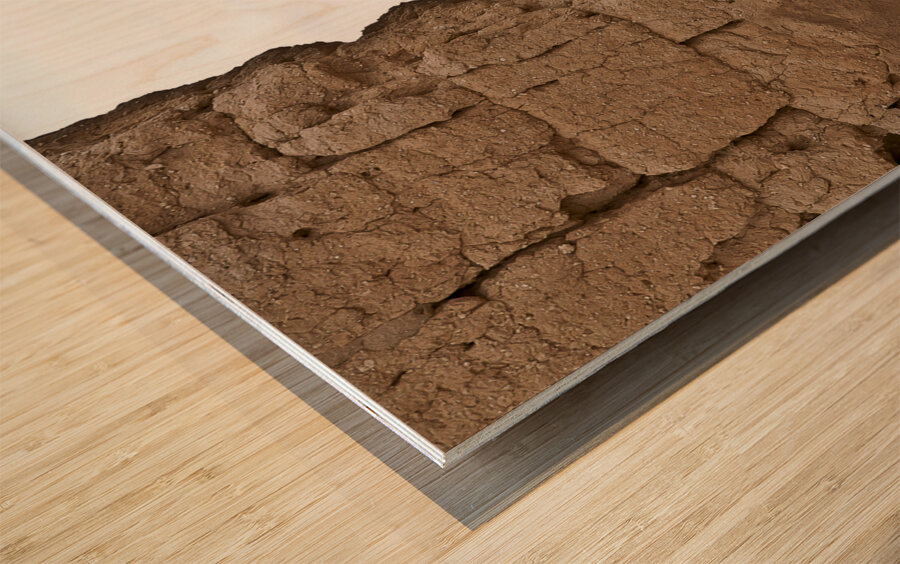 Casa Grande Ruins National Monument AZ 54 Wood print