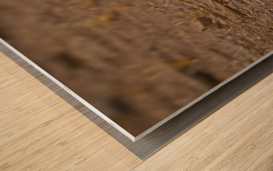 Casa Grande Ruins National Monument AZ 111 Wood print